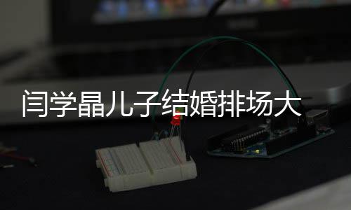 等众明星闫学子结晶儿 潘捧场场大长江婚排